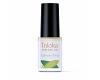 Triloka Green Tea Perfume Oil
